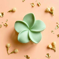 Pastel Green